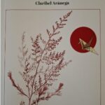 Presentación de libro en Sabiñánigo