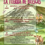 Visitas guiadas en Biescas